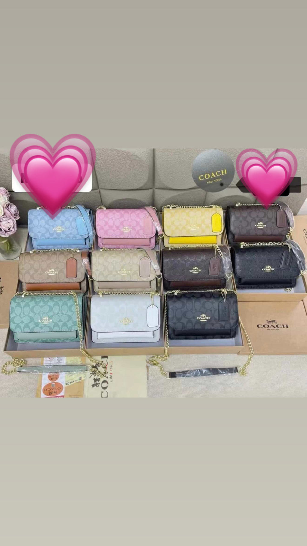 Bags Supplier