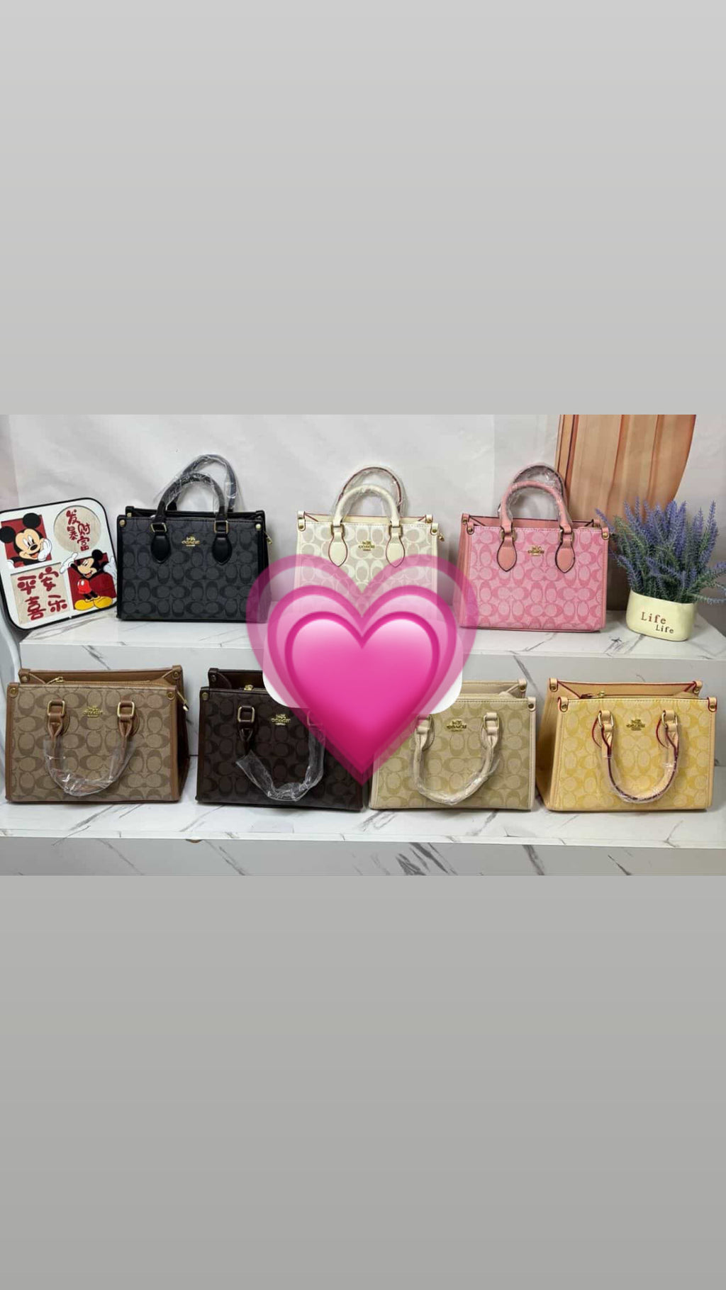Bags Supplier