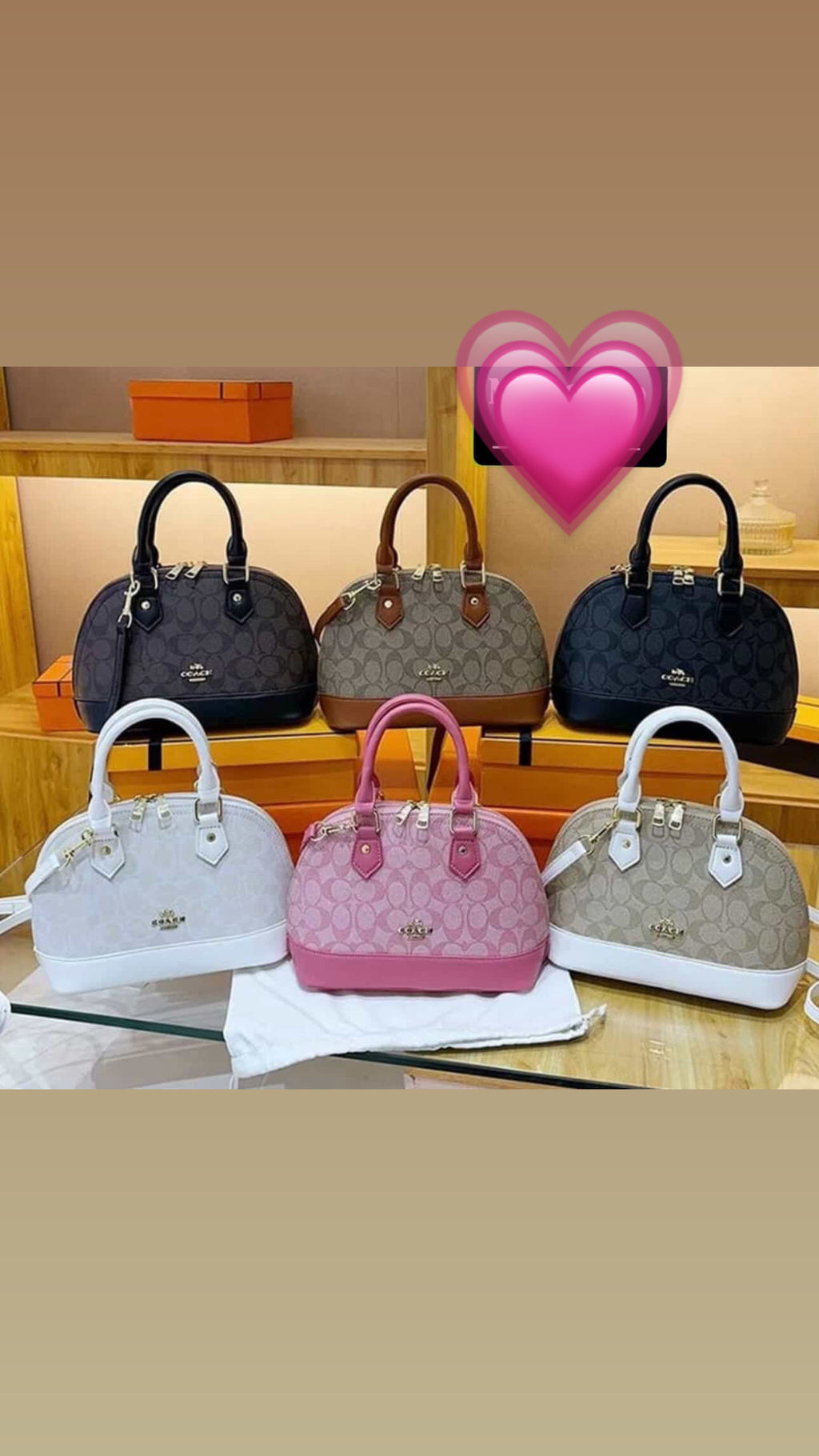 Bags Supplier