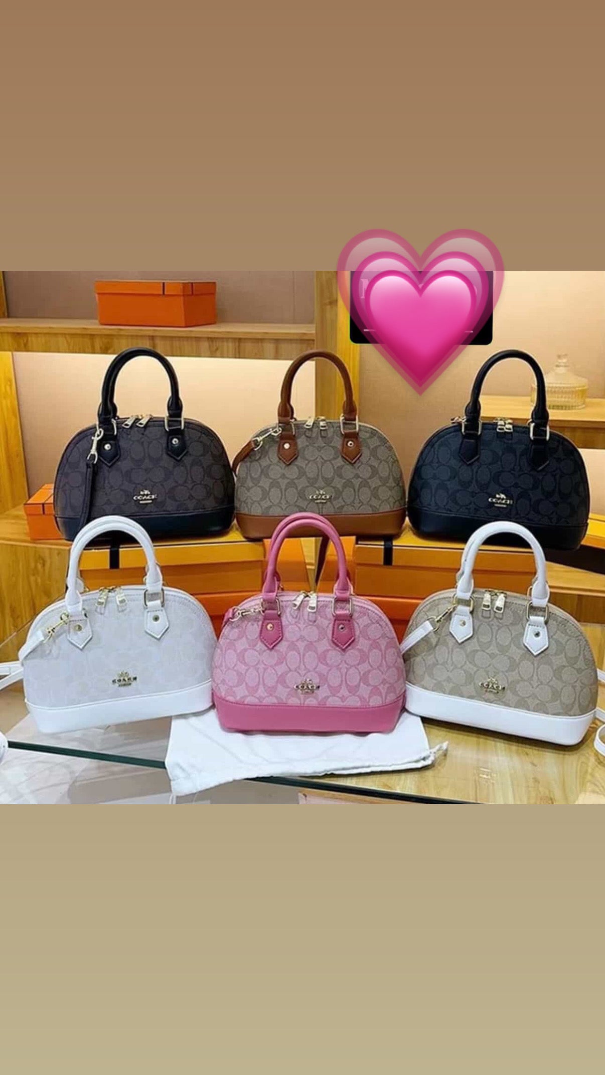 Bags Supplier